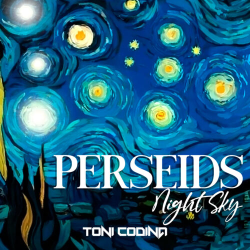 Perseids (In The Night Sky)